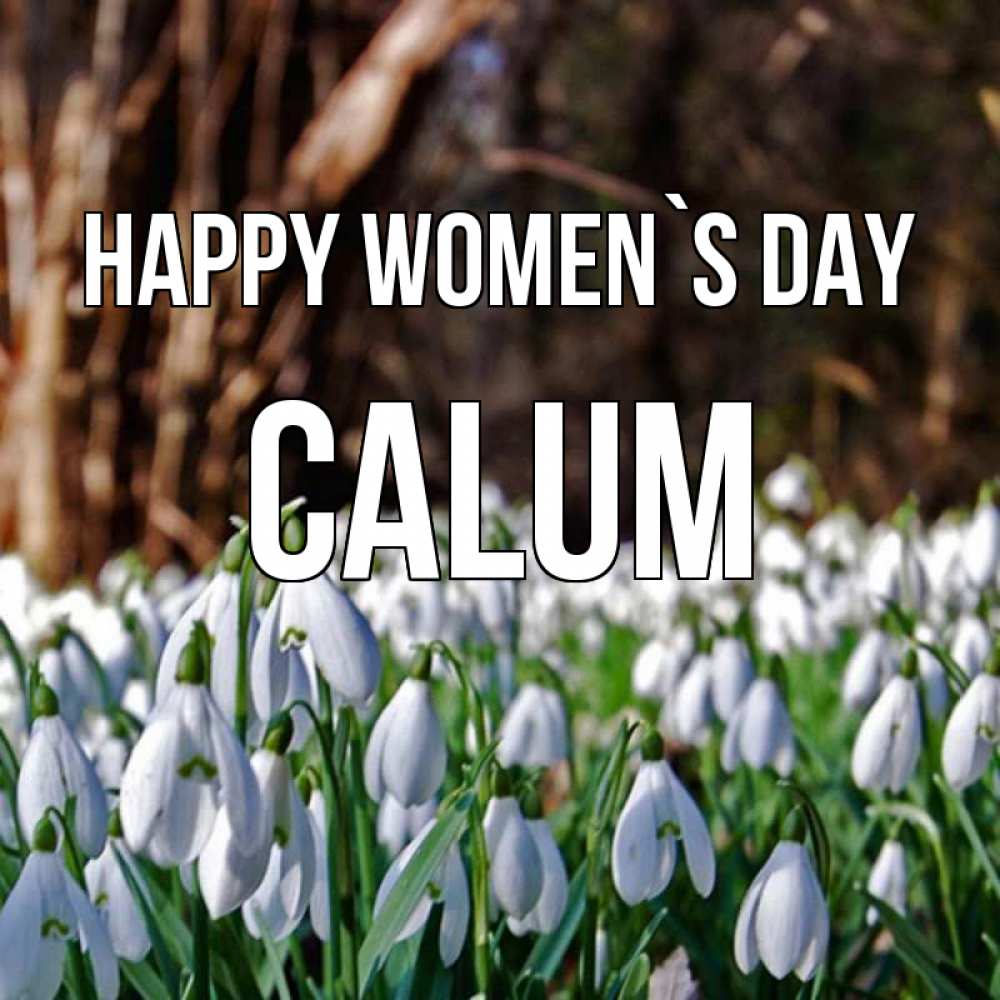 Greetings card с именем, Calum happy women`s day с подснежниками 1 Greetings with text for free download 